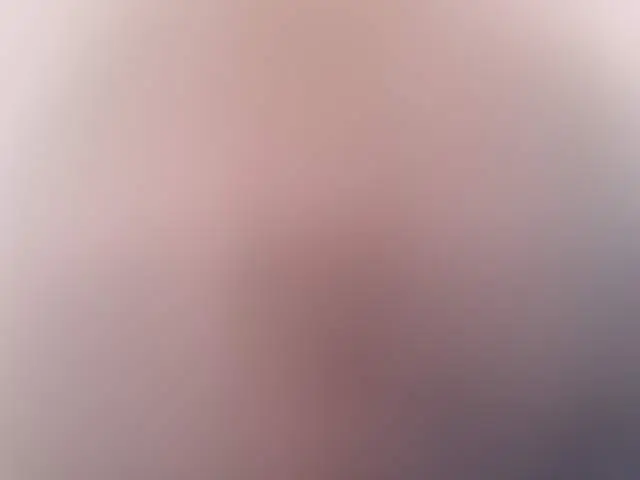 PrimPiper image 3